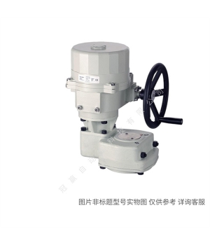 Siemens/西門子樓宇自動化 IBT:SBV61 執(zhí)行器0-10VAC24V1600N