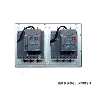 ABB雙電源轉換開關 OTM80E3C8D220C 10102074